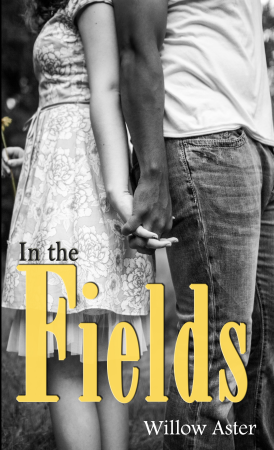 Book Review – In the Fields by Willow Aster