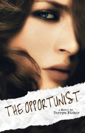Book Review – The Opportunist by Tarryn Fisher