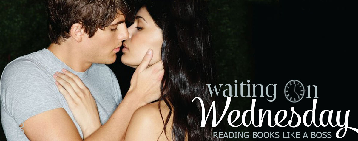 Waiting on Wednesday #25 — On the Edge by Allison van Diepen