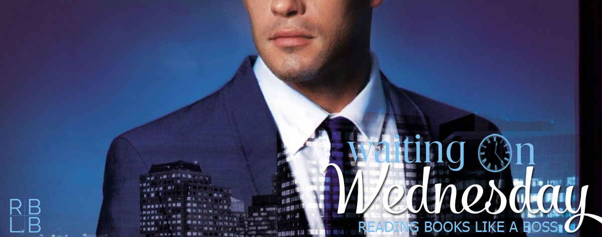 Waiting on Wednesday #31 — Hero by Samantha Young