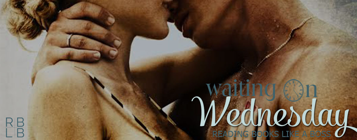 Waiting on Wednesday #30 — Natural Love by S. Celi