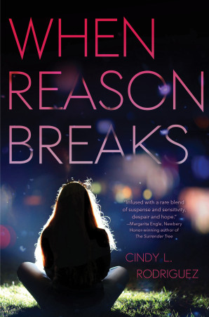 Book Review — When Reason Breaks by Cindy L. Rodriguez