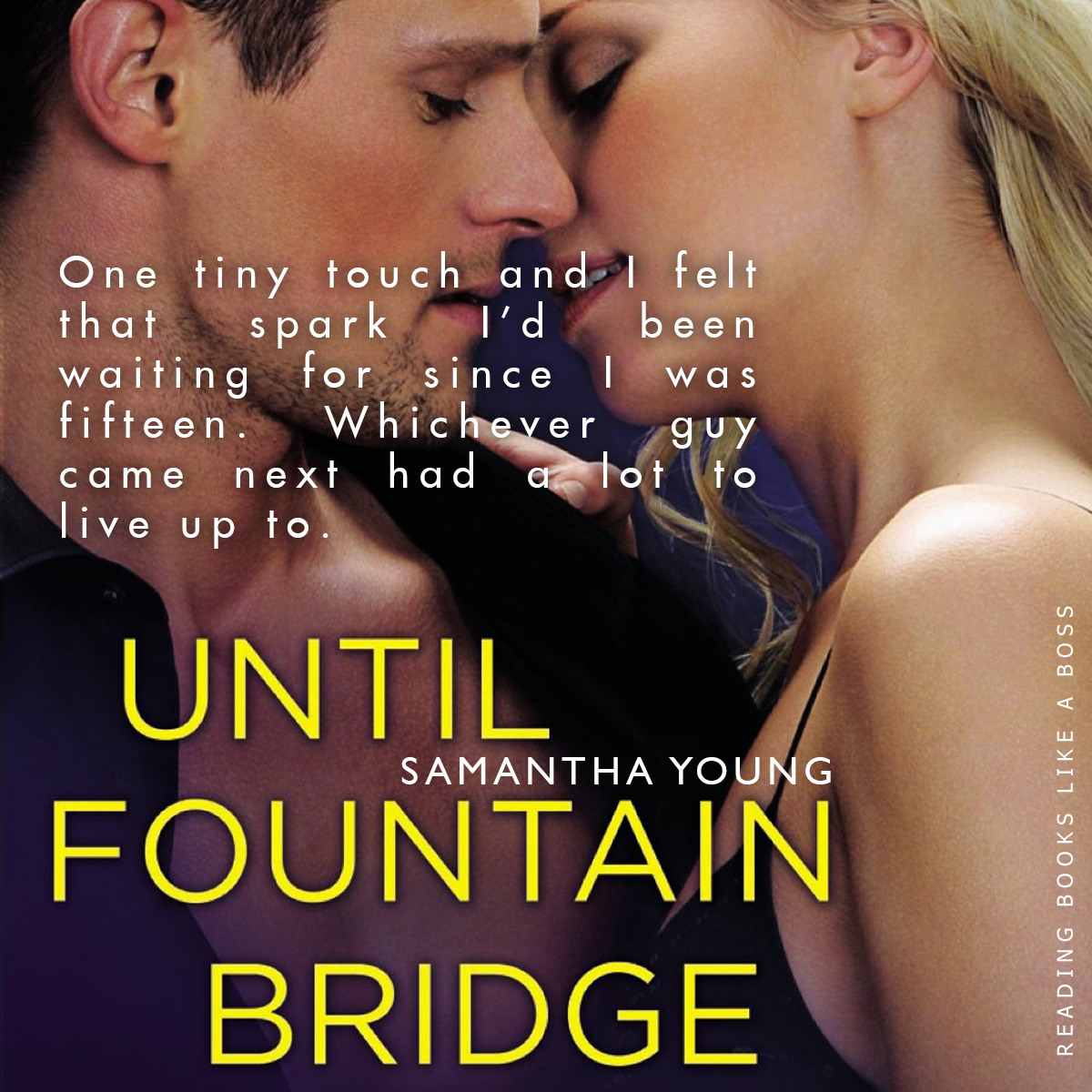 Until Fountain Bridge by Samantha Young