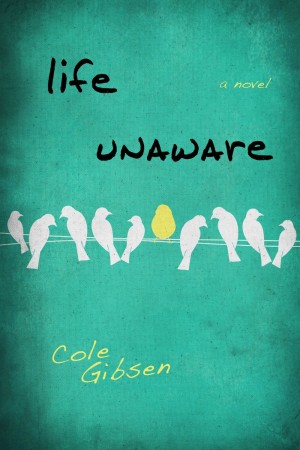 Book Review – Life Unaware by Cole Gibsen