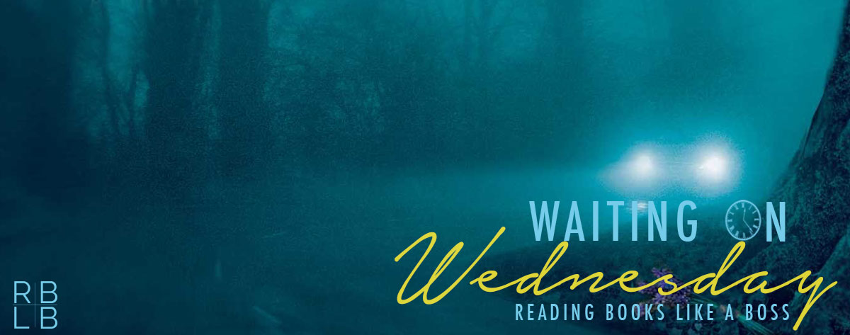 Waiting on Wednesday #39 – Remember Me This Way by Sabine Durrant