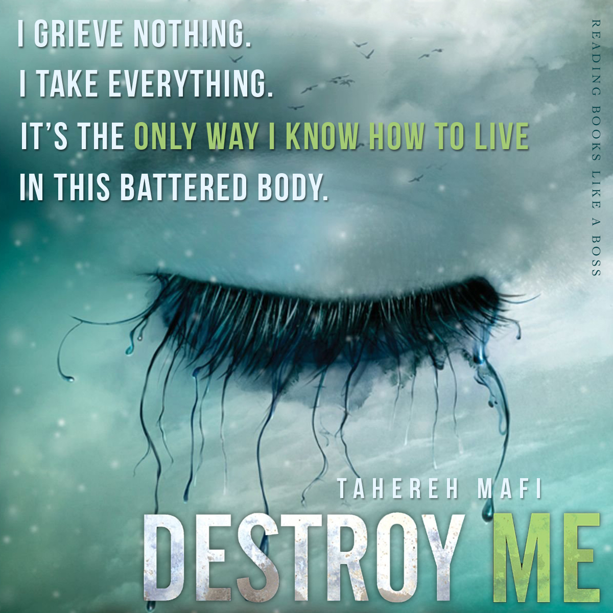 Destroy Me by Tahereh Mafi