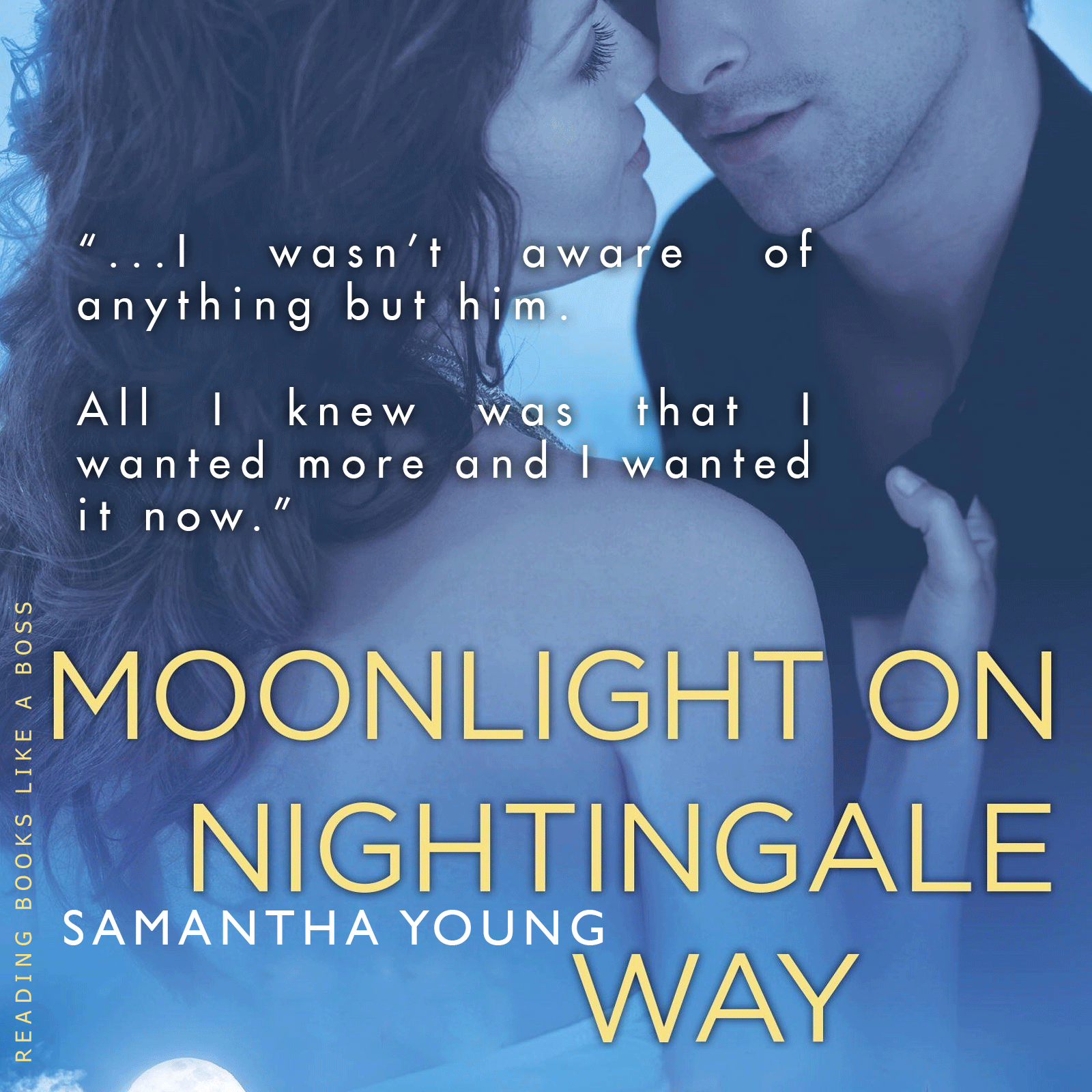 Moonlight on Nightingale Way by Samantha Young