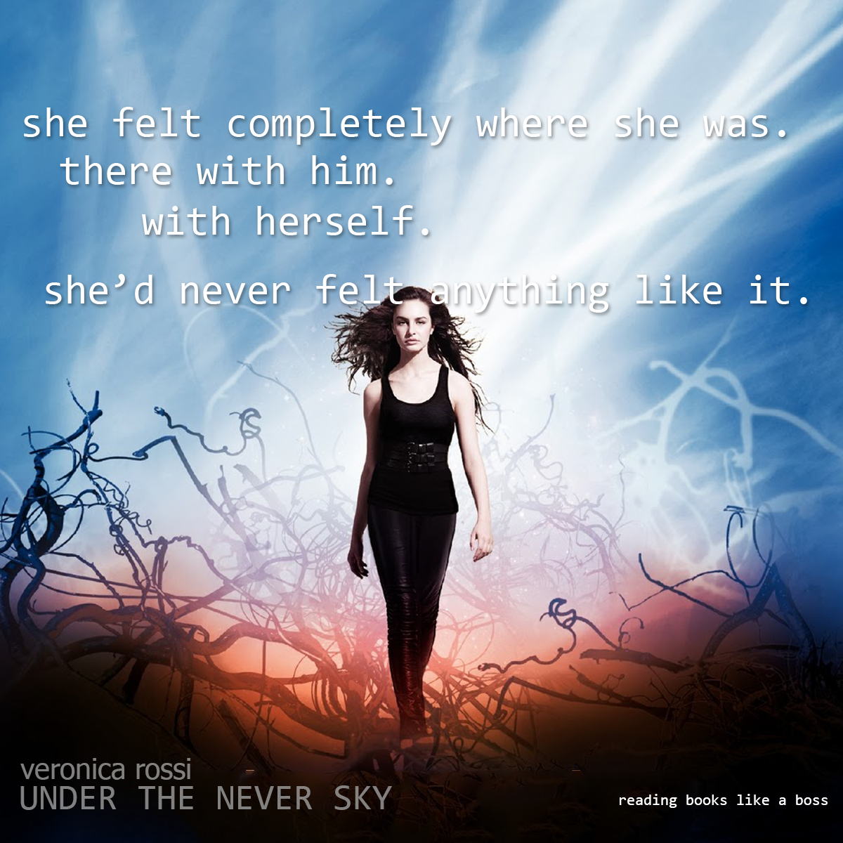 under the never sky book