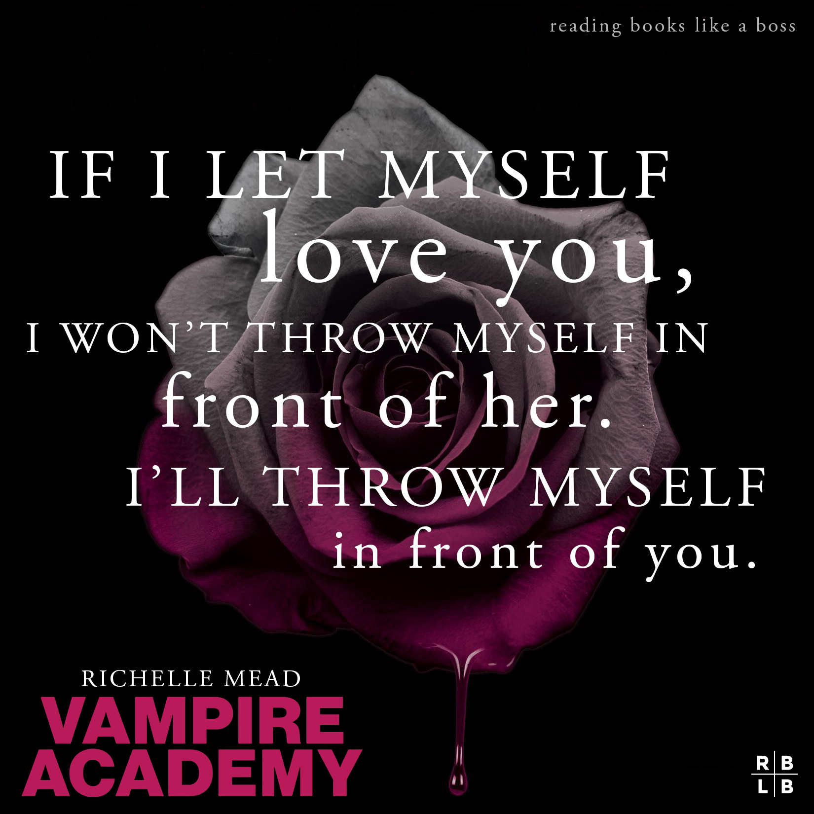 Vampire Academy by Richelle Mead