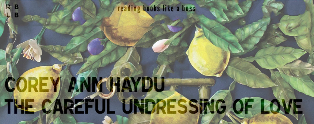 Review - The Careful Undressing of Love by Corey Ann Haydu