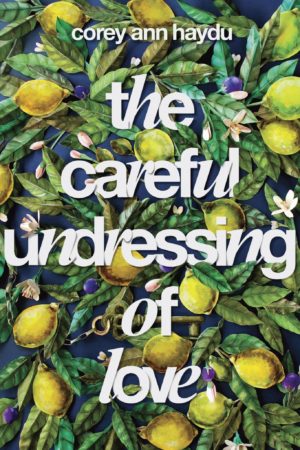 Book Review – The Careful Undressing of Love by Corey Ann Haydu
