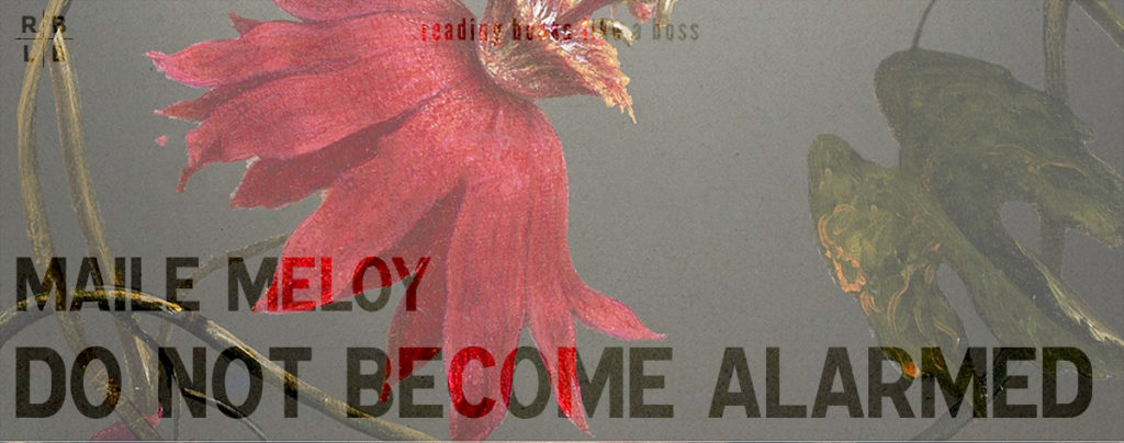 Review - Do Not Become Alarmed by Maile Meloy