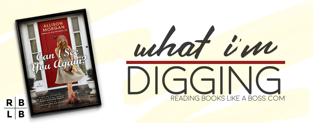 What I’m Digging – Can I See You Again by Allison Morgan