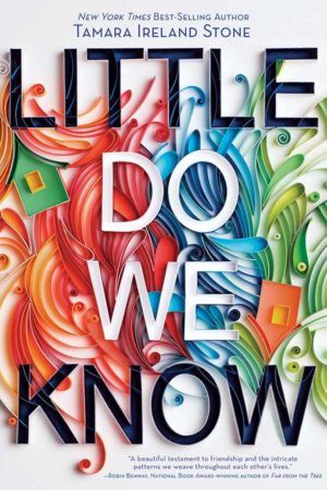 Book Review – Little Do We Know by Tamara Ireland Stone